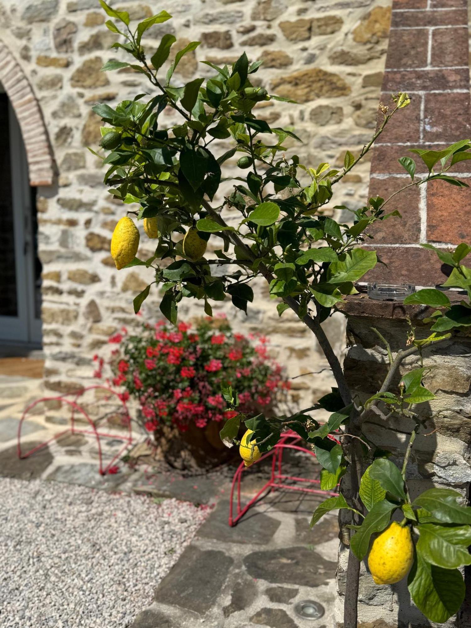 Podere Fontanino Arezzo